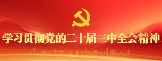 學習貫徹黨的二十屆三中全會精神